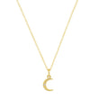 Mini Carson Moon Necklace