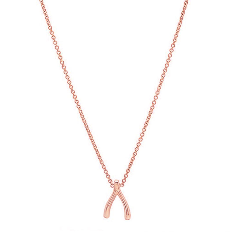Rose Gold Mini Wishbone Necklace